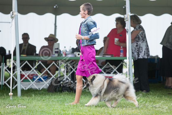 Dogshow 2015-04-18 Terre Haute--144005