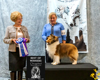 Dogshow 2023-03-04 CSSC Day 1 Show 1 Win Photos--152708-2