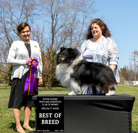 Show 1 Best of Breed