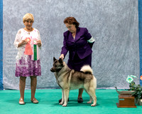 Dogshow 2023-07-02 NEINEA Win Photos Day 2--113240-3