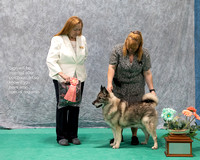 Dogshow 2023-07-01 NEINEA Shows 1 and 2--102719-2