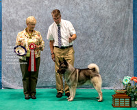Dogshow 2023-07-01 NEINEA Shows 1 and 2--141827-3