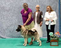 Dogshow 2023-07-01 NEINEA Shows 1 and 2--101754-4