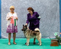 Dogshow 2023-07-02 NEINEA Win Photos Day 2--113240-2