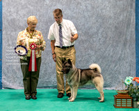 Dogshow 2023-07-01 NEINEA Shows 1 and 2--141827-2