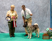 Dogshow 2023-07-01 NEINEA Shows 1 and 2--141646