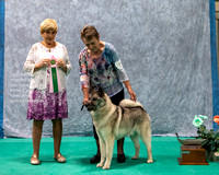 Dogshow 2023-07-02 NEINEA Win Photos Day 2--113424