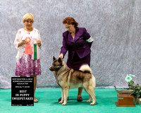 Dogshow 2023-07-02 NEINEA Win Photos Day 2--113241
