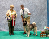 Dogshow 2023-07-01 NEINEA Shows 1 and 2--141644