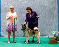 Dogshow 2023-07-02 NEINEA Win Photos Day 2--113241-2