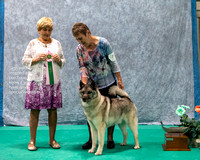 Dogshow 2023-07-02 NEINEA Win Photos Day 2--113418