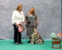 Dogshow 2023-07-01 NEINEA Shows 1 and 2--102621