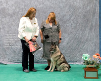 Dogshow 2023-07-01 NEINEA Shows 1 and 2--102620-4