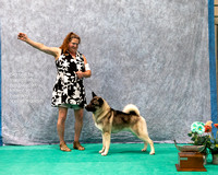 Dogshow 2023-07-02 NEINEA Win Photos Day 2--133617