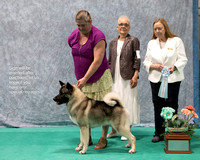 Dogshow 2023-07-01 NEINEA Shows 1 and 2--101754-3