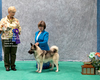 Dogshow 2023-07-01 NEINEA Shows 1 and 2--143423-4