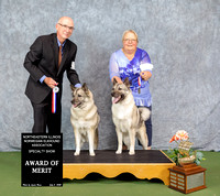 Dogshow 2022-07-02 NEINEA Win Photos --140556-2 copy