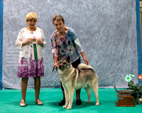 Dogshow 2023-07-02 NEINEA Win Photos Day 2--113425