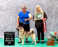 Dogshow 2023-07-02 NEINEA Win Photos Day 2--134601-3