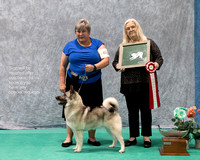 Dogshow 2023-07-02 NEINEA Win Photos Day 2--134601