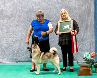 Dogshow 2023-07-02 NEINEA Win Photos Day 2--134601-2