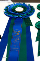Miscellaneous from 2011 Obedience/Rally/Agility