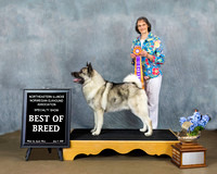 20210703 Show 1 - Best of Breed