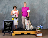 20210703 Show 2 Win Photos - Award of Merit & Veteran Dog