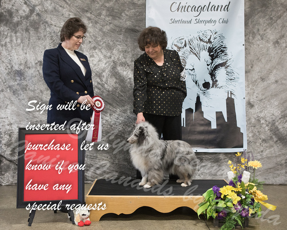 Dogshow 2018-03-03 CSSC Day 1--145124-2