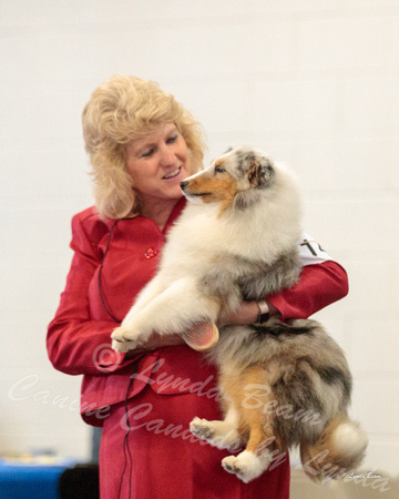 Dogshow 2018-03-04 CSSC Day 2 Candids--123203