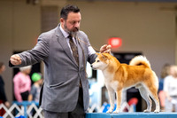 Dogshow 2023-10-20 Rapid City SD Day 1--134700-2