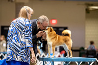 Dogshow 2023-10-20 Rapid City SD Day 1--135126