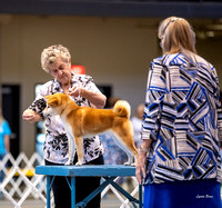 Dogshow 2023-10-20 Rapid City SD Day 1--122654