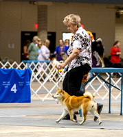 Dogshow 2023-10-20 Rapid City SD Day 1--122823-2