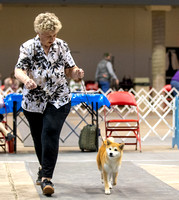 Dogshow 2023-10-20 Rapid City SD Day 1--122833