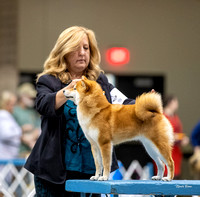 Dogshow 2023-10-20 Rapid City SD Day 1--123146