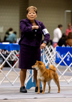 Dogshow 2023-10-20 Rapid City SD Day 1--120431