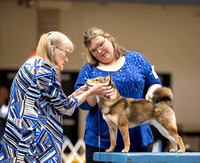 Dogshow 2023-10-20 Rapid City SD Day 1--120344