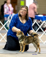 Dogshow 2023-10-20 Rapid City SD Day 1--120839
