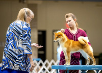 Dogshow 2023-10-20 Rapid City SD Day 1--121236-2