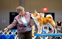 Dogshow 2023-10-20 Rapid City SD Day 1--133317