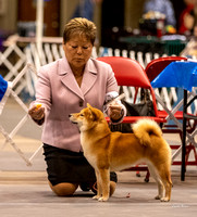 Dogshow 2023-10-21 NSCA and Rapid City--110522
