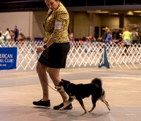 Dogshow 2023-10-21 NSCA and Rapid City--110935