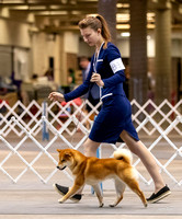 Dogshow 2023-10-21 NSCA and Rapid City--105240-2