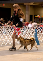 Dogshow 2023-10-21 NSCA and Rapid City--105431