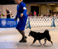 Dogshow 2023-10-21 NSCA and Rapid City--121113