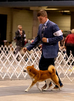 Dogshow 2023-10-21 NSCA and Rapid City--121253-3