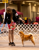 Dogshow 2023-10-21 NSCA and Rapid City--094848