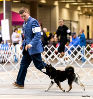 Dogshow 2023-10-21 NSCA and Rapid City--133305-2 copy