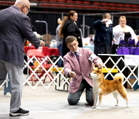 Dogshow 2023-10-22 NSCA and Rapid City--092413